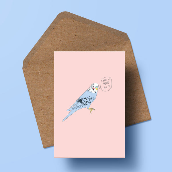 image of a pale pink card featuring an illustration of a blue budgie with a speech bubble saying 'who's a pretty boy'. the card is resting on a recycled kraft envelope.