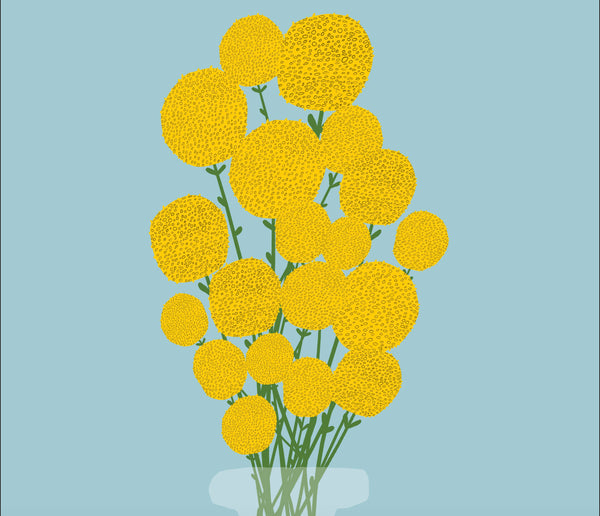 a zoomed in look at an illustration of yellow billy buttons, sometimes known as craspedia globosa in a vase on a light blue background