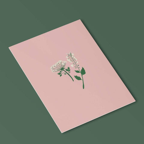 image of a postcard featuring baby's breath and a white foxglove on a pale pink background