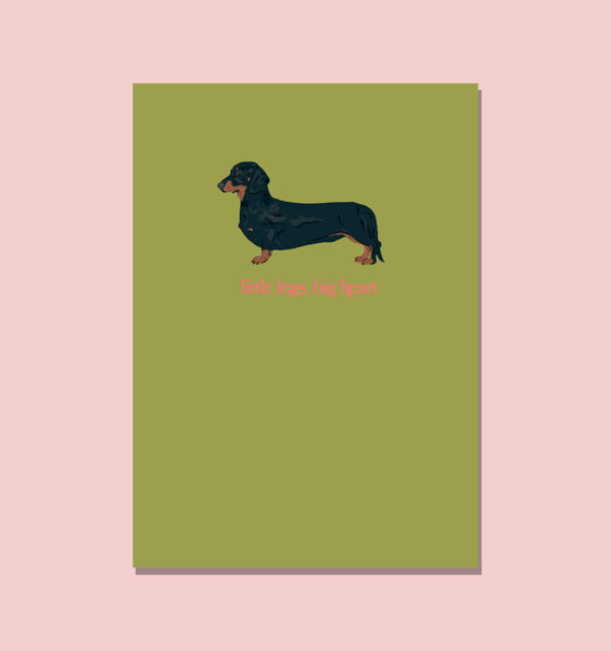 Sausage Dog Little Legs Big Heart Postcard